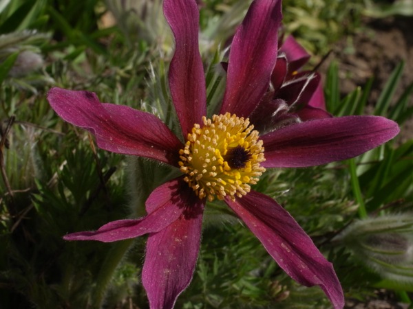 f:id:elmikamino:20120430094658j:image
