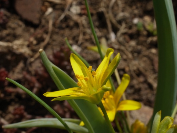 f:id:elmikamino:20120430094842j:image