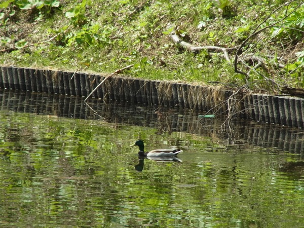 f:id:elmikamino:20120430101108j:image