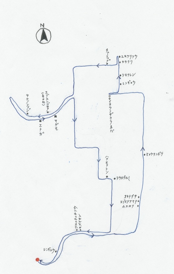 f:id:elmikamino:20120430184041j:image