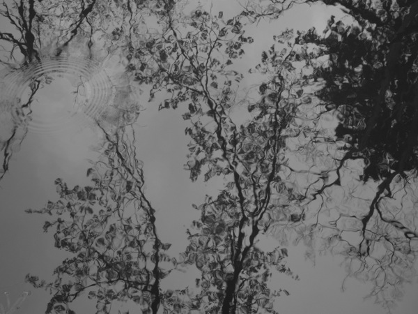 f:id:elmikamino:20120503102256j:image