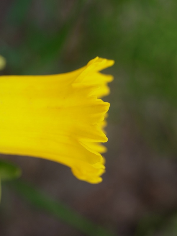 f:id:elmikamino:20120503104618j:image