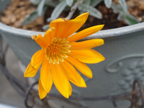 f:id:elmikamino:20120503105237j:image