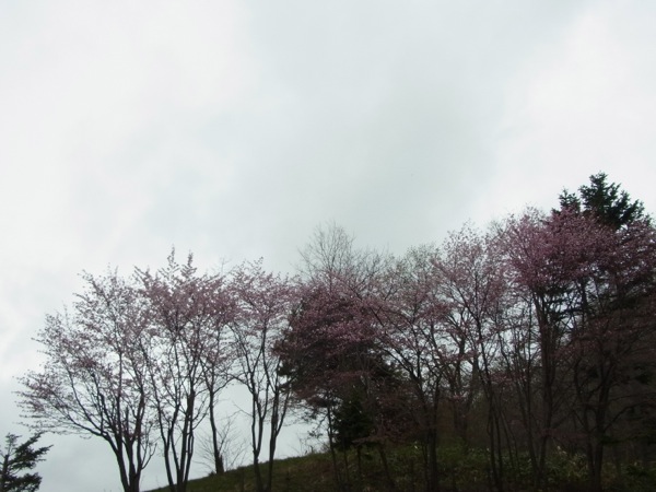 f:id:elmikamino:20120503155103j:image