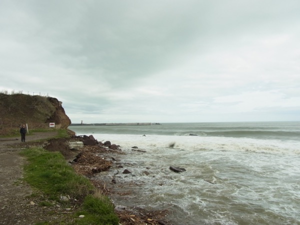 f:id:elmikamino:20120505145125j:image