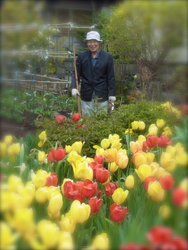 f:id:elmikamino:20120515110114j:image