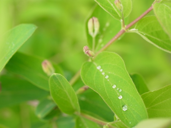 f:id:elmikamino:20120515110204j:image
