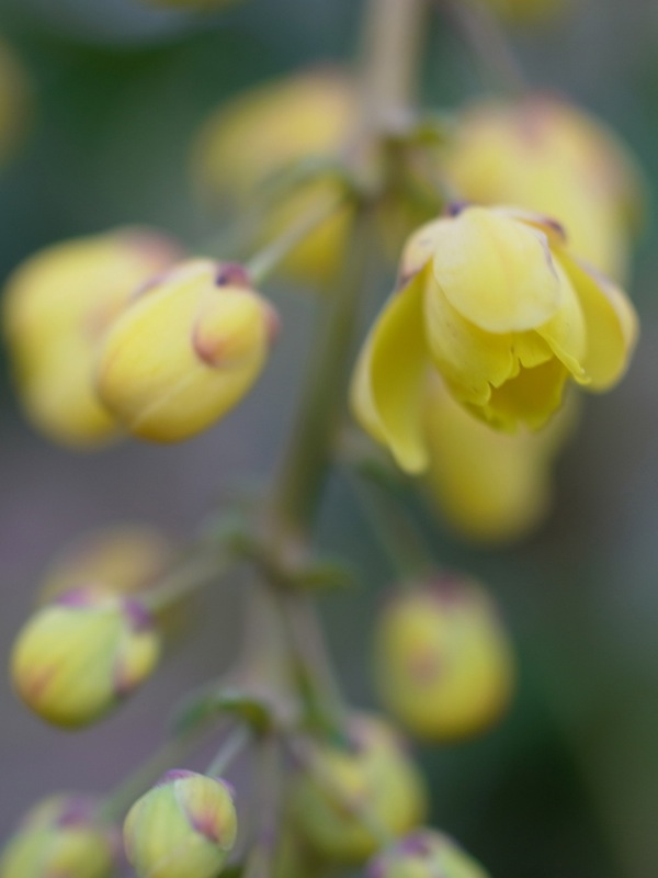 f:id:elmikamino:20120517165555j:image