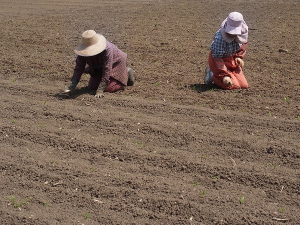 f:id:elmikamino:20120519102615j:image