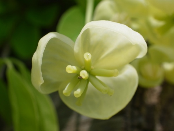 f:id:elmikamino:20120519115331j:image