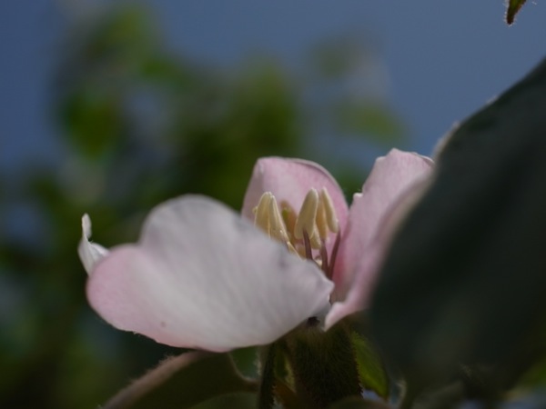 f:id:elmikamino:20120525092933j:image