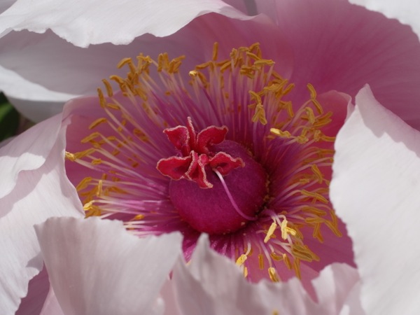 f:id:elmikamino:20120602101353j:image f:id:elmikamino:20120602101353j:image