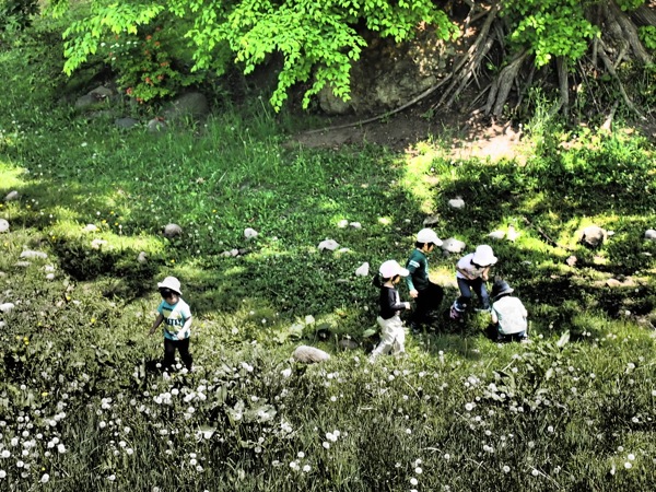 f:id:elmikamino:20120602103530j:image f:id:elmikamino:20120602103530j:image