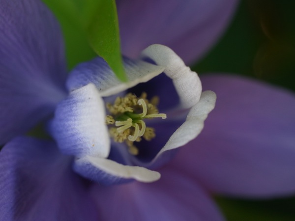 f:id:elmikamino:20120602120916j:image f:id:elmikamino:20120602120916j:image