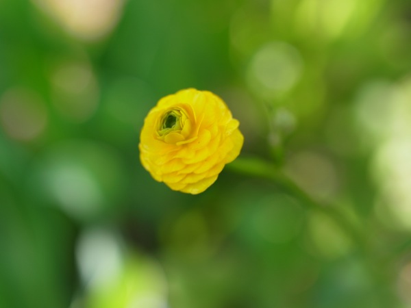 f:id:elmikamino:20120603100442j:image