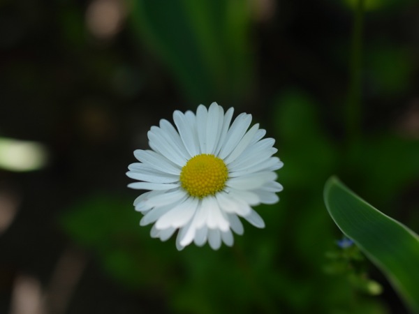 f:id:elmikamino:20120603100455j:image