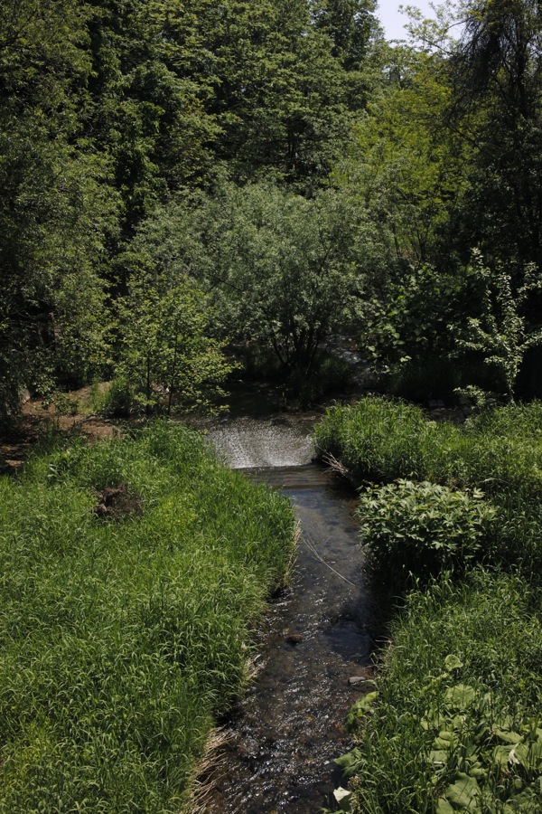 f:id:elmikamino:20120603102938j:image