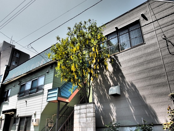 f:id:elmikamino:20120603104645j:image