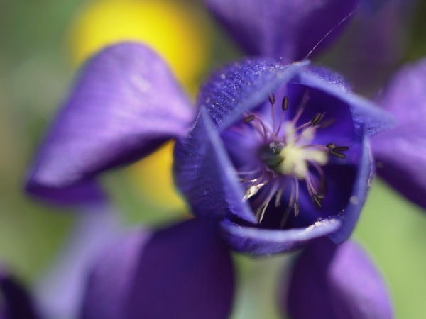 f:id:elmikamino:20120603110822j:image