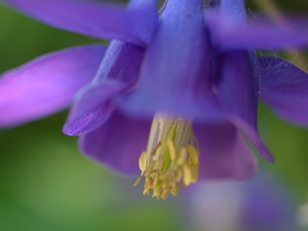 f:id:elmikamino:20120603111255j:image