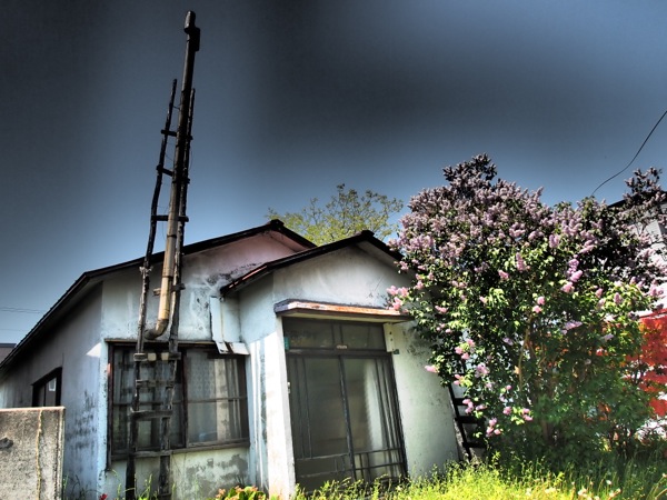 f:id:elmikamino:20120603111832j:image