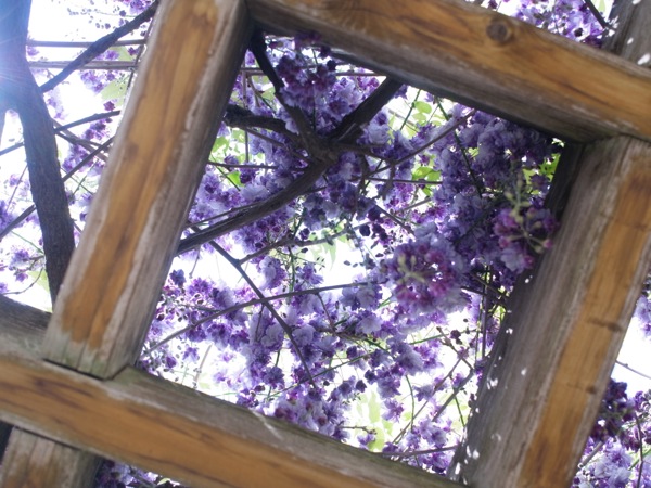 f:id:elmikamino:20120603112038j:image
