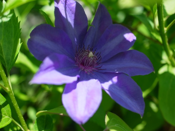 f:id:elmikamino:20120603112614j:image