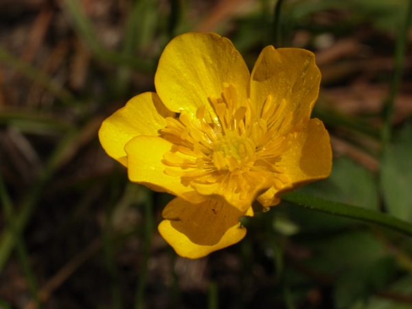 f:id:elmikamino:20120604094615j:image