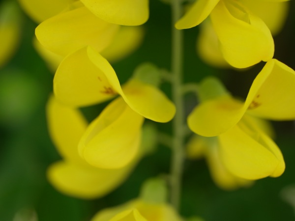 f:id:elmikamino:20120604094703j:image