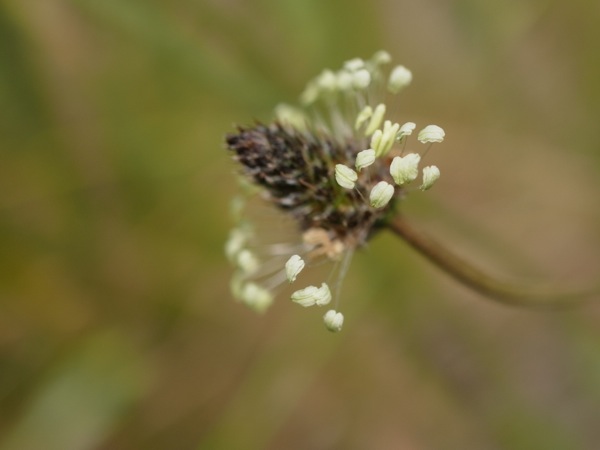 f:id:elmikamino:20120605101231j:image