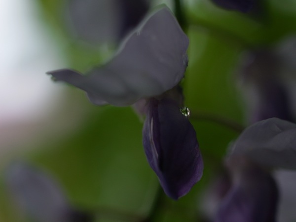 f:id:elmikamino:20120606152019j:image