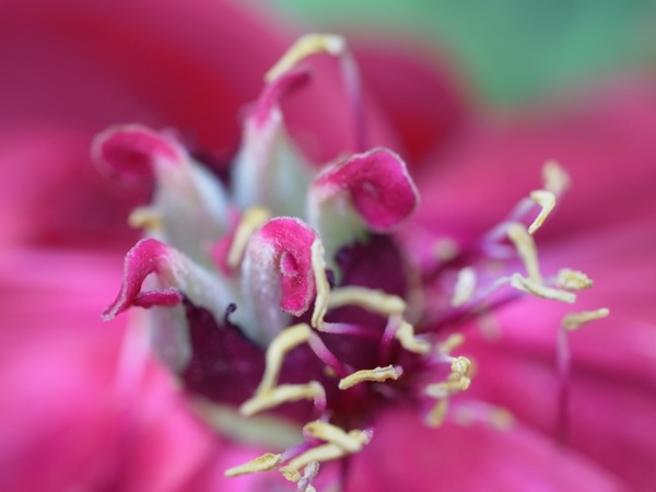 f:id:elmikamino:20120609110508j:image