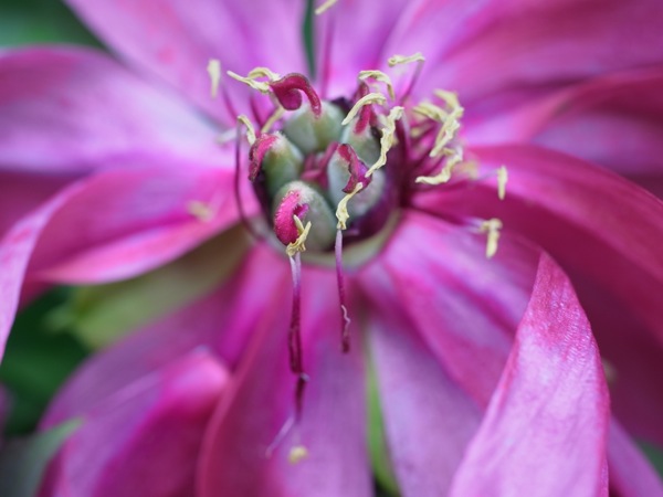 f:id:elmikamino:20120609110518j:image
