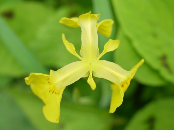 f:id:elmikamino:20120610100643j:image