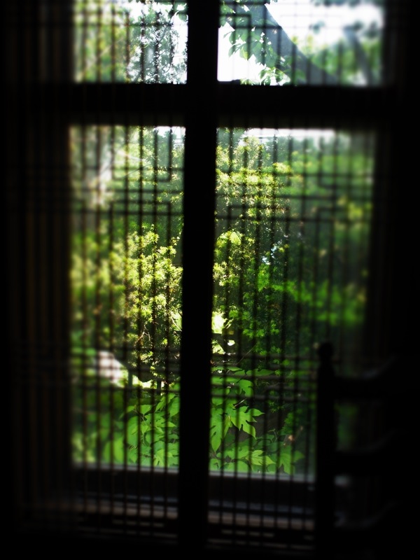 f:id:elmikamino:20120615125844j:image