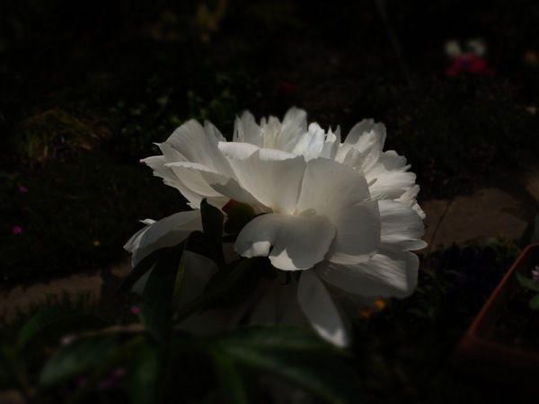 f:id:elmikamino:20120619104228j:image