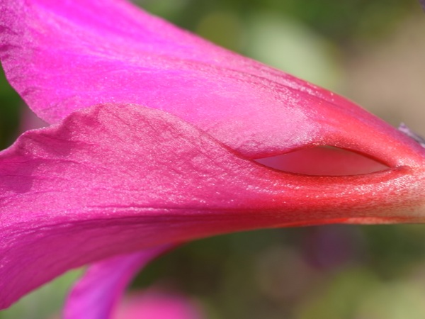 f:id:elmikamino:20120619110236j:image