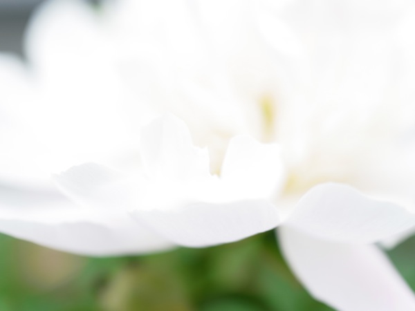 f:id:elmikamino:20120622105050j:image