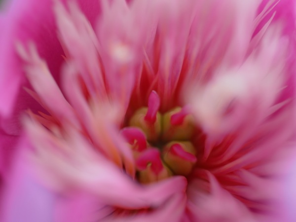 f:id:elmikamino:20120622105502j:image