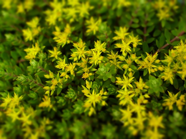 f:id:elmikamino:20120622105802j:image