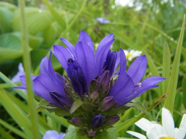 f:id:elmikamino:20120623114347j:image