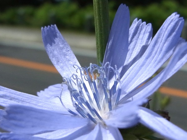 f:id:elmikamino:20120703094402j:image
