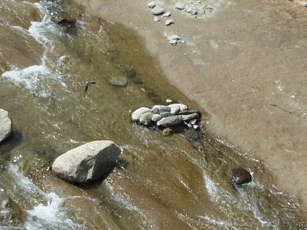 f:id:elmikamino:20120703095814j:image