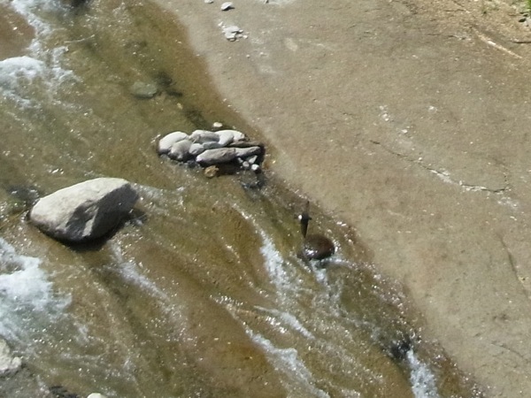 f:id:elmikamino:20120703095816j:image