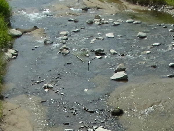 f:id:elmikamino:20120703095832j:image