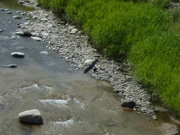 f:id:elmikamino:20120703095849j:image