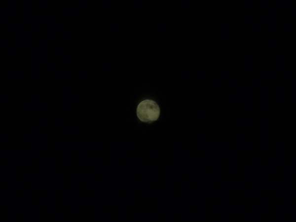 f:id:elmikamino:20120704204930j:image