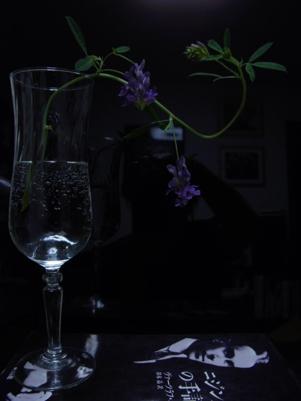 f:id:elmikamino:20120705205946j:image