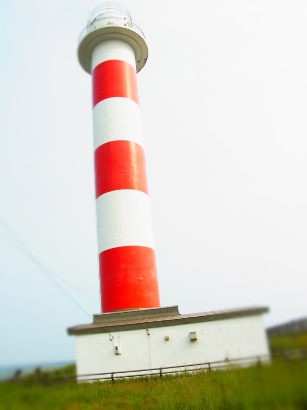f:id:elmikamino:20120708154738j:image