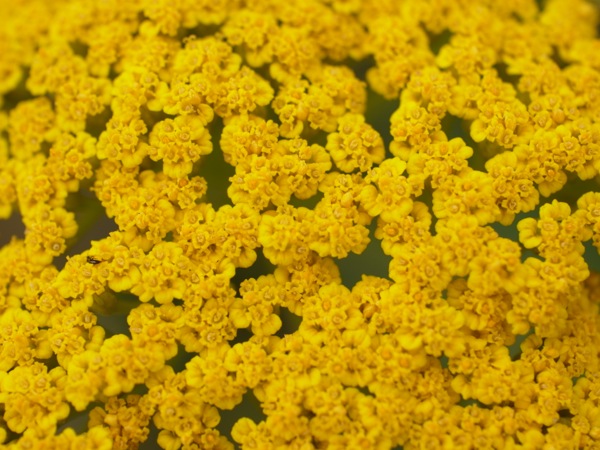 f:id:elmikamino:20120710104953j:image